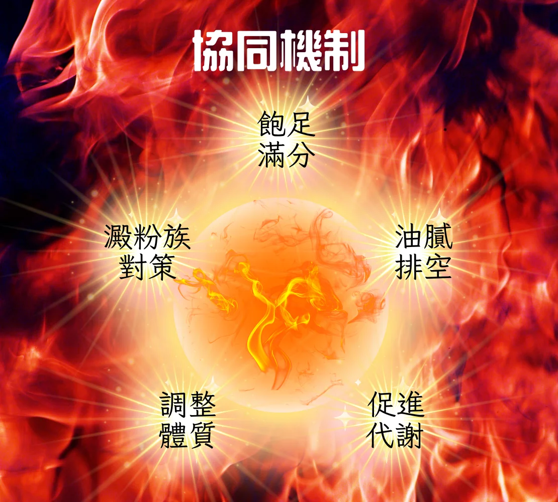 纖魔素S1
