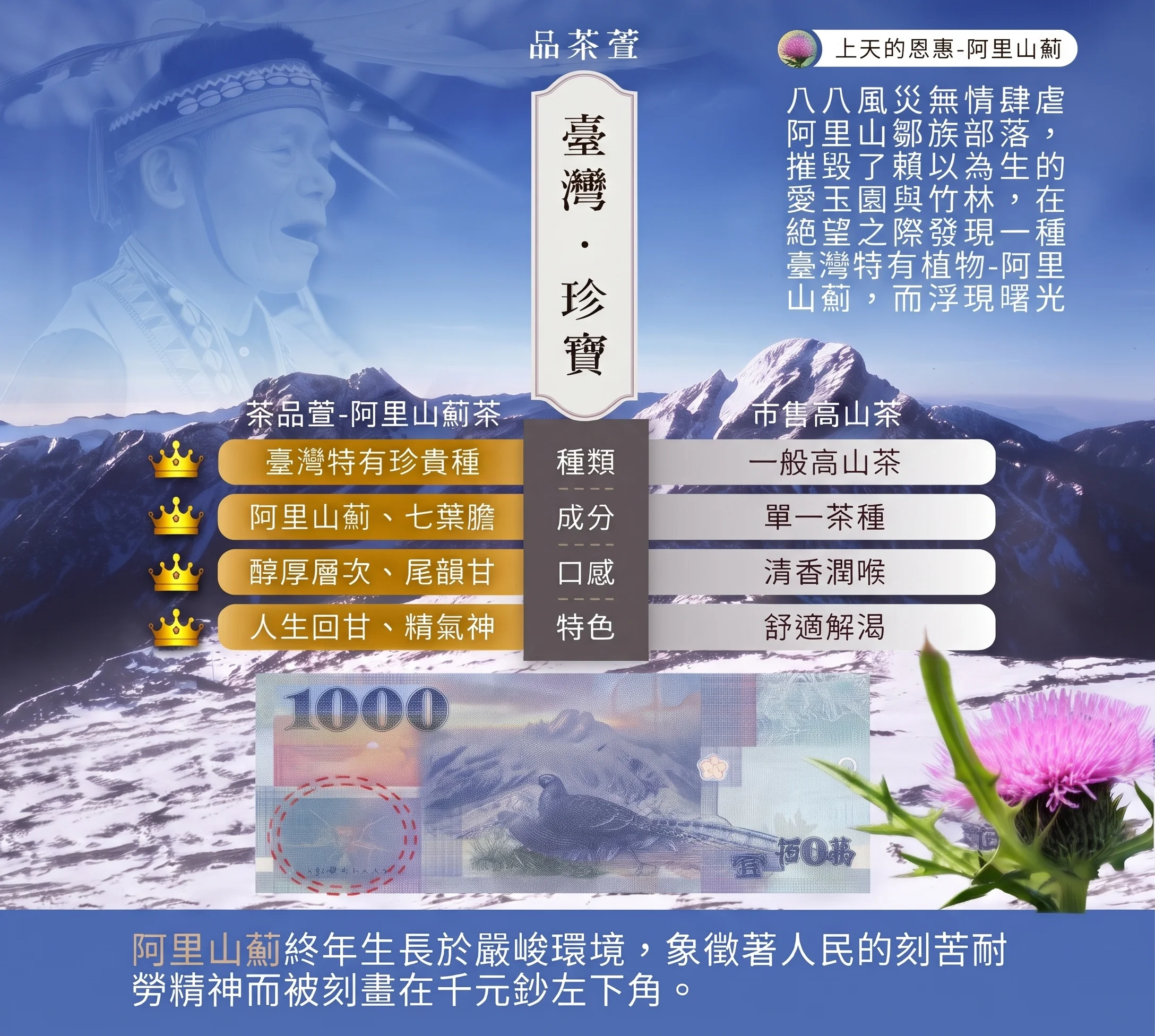 品茶萱 臺灣阿里山薊珍寶茶