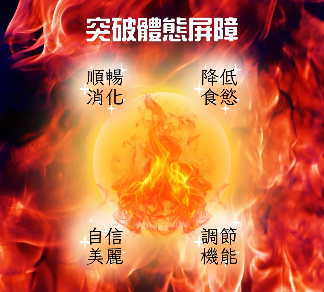 纖魔素S1